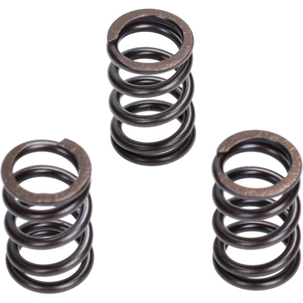 Valve Malossi spring set euro-5 suits on Liberty IGET, Vespa Primavera 4t-3v, Piaggio Zip 4-stroke 3V 2919806