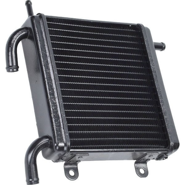 Radiateur DMP zwart past op Yamaha Aerox